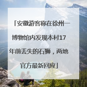 安徽游客称在徐州一博物馆内发现本村17年前丢失的石狮，两地官方最新回应